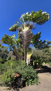 GC-Parque Botanico de Maspalomas 2025-061.jpg